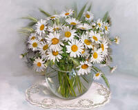 Без бренда «2KMA-0021» в Комсомольске-на-Амуре