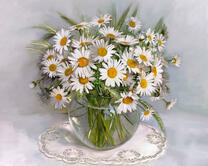 Без бренда «2KMA-0021» в Комсомольске-на-Амуре