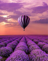 Без бренда «2KMB-4091» в Комсомольске-на-Амуре