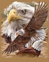 Без бренда «2KMB-4315» в Комсомольске-на-Амуре