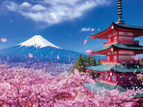 Без бренда «2KSB-7277» в Комсомольске-на-Амуре