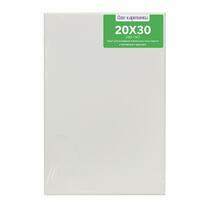 Без бренда «Коробка 80 шт.: Холст Две картинки на подрамнике 20X30» в Комсомольске-на-Амуре