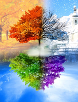 Без бренда «BOX10-2KLB-6100» в Комсомольске-на-Амуре