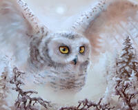 Без бренда «Полярная сова над лесом (20шт)» в Комсомольске-на-Амуре