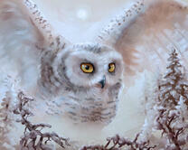 Без бренда «Полярная сова над лесом (20шт)» в Комсомольске-на-Амуре