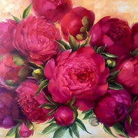 Без бренда «Бордовые пионы (20шт)» в Комсомольске-на-Амуре