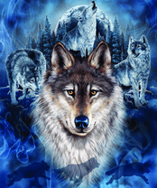 Без бренда «BOX40-2KXSB-0687» в Комсомольске-на-Амуре