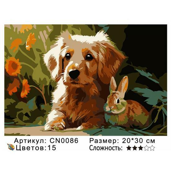 Картина по номерам 20x30 CN0086