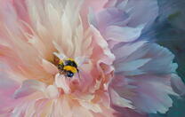 Шмель на цветке пиона