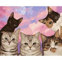 Без бренда «Такие разные котики» в Комсомольске-на-Амуре