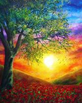 Незабываемый закат над маковым полем