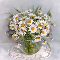 Без бренда «Букет свежих ромашек» в Комсомольске-на-Амуре