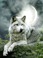 Без бренда «Коробка 25 шт. картин по номерам BOX25-GX21058» в Комсомольске-на-Амуре