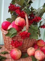 Без бренда «Коробка 25 шт. картин по номерам BOX25-GX5174» в Комсомольске-на-Амуре в интернет-магазине  Без бренда «Коробка 25 шт. картин по номерам BOX25-GX5174» в Комсомольске-на-Амуре