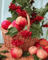 Без бренда «Плетёная корзина с калиной и яблоками» в Комсомольске-на-Амуре