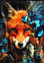 Без бренда «Лиса и синие бабочки» в Комсомольске-на-Амуре