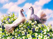 Пара голубей на цветущем кусте