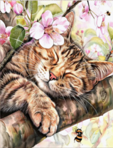 Без бренда «Волосатый котик спит на ветви яблони» в Комсомольске-на-Амуре в интернет-магазине  Без бренда «Волосатый котик спит на ветви яблони» в Комсомольске-на-Амуре