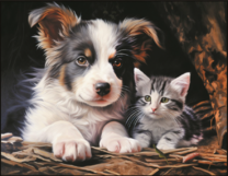 Щенок и полосатый котенок